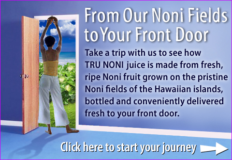 Learn How TRU NONI juice is made