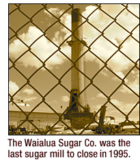 sugar mill closing